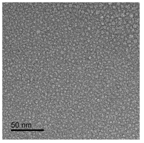 TEM image of Sr-glass-Na2O powder surface after immersing in DI-water for 1 hour