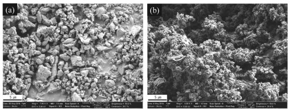 SEM images of Sr-glass-Na2O (a) before and (b) after adsorption of carbon dioxide for 1 hour at room temperature