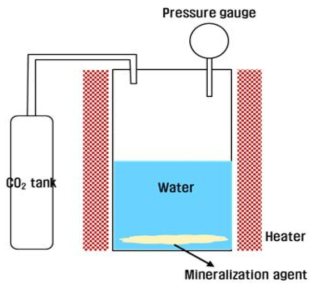 Schematic diagram of equipment for the accelerated CO2 mineralization