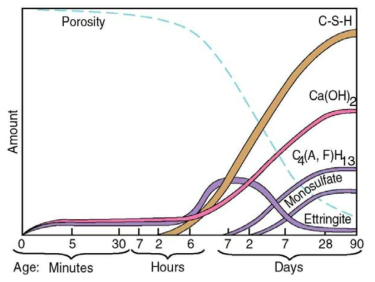 Phases transition of cement hydration as a function of time