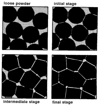 Sintering stages from a loose powder and being sintered in each of the three stages