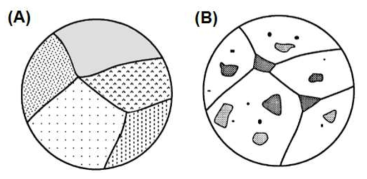 Schematic illustrations of (A) ceramic wasteform with waste phases in solution, and (B) ceramic with encapsulated waste phases