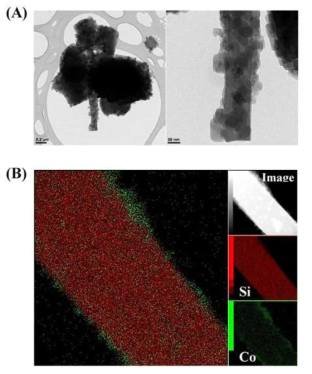 (A) TEM images and (B) EDS mapping result of hybrid