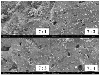 SEM images of sintered bodies at 1,100℃ in the system of uranium bearing waste–B2O3 system with a change of ratio of B2O3 to SiO2