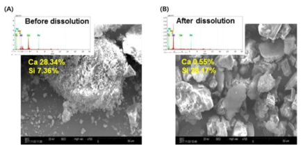 SEM-EDS results of concrete particles, above 1mm, after pulverization with heat-treatment. (A) before dissolution, (B) after dissolution using HCl solution
