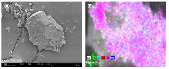 (A) SEM image and (B) EDS mapping of the particles above 1 mm after dissolution treatment