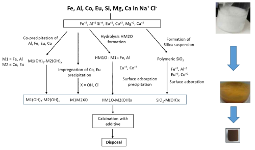 Schematic diagram of co-precipitation mechanism of Co and Eu in wastewater via hydrolysis product of Al and Fe in solution