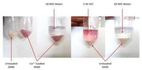 Photographs of IX process showing Co2+ loading onto and elution from S940