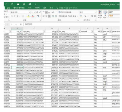 Excel file of bar-code sequence