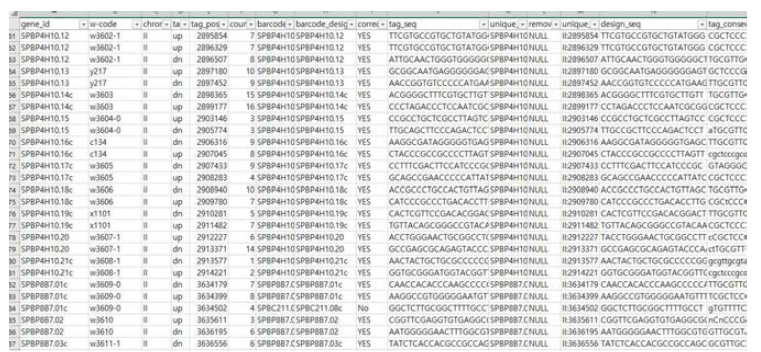 Excel file of final bar-code sequence