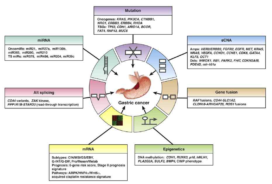 발암성에 관련된 유전자지표들 (Tan and Yeoh, 2015 Gastroenterology 149(5): 1153-62)