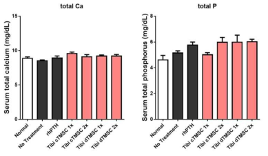 분화 그리고 미분화된 TMSC injection를 경골 근위부로 직접 투여받은 쥐군들의 첫 투여 3개월 후 혈청 칼슘과 인의 농도. (n=10 for normal, no treatment, rhPTH groups; n=5 for TMSC groups.)