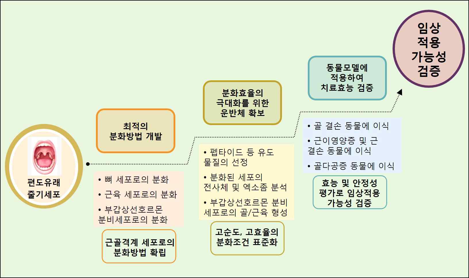 연구개발 개요