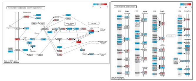 Barcas output의 Pathway enrichement analysis