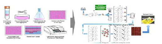 in vitro 항암제 스크리닝의 한계에 따른 환자유래 암조직 이식 모델로의 전환