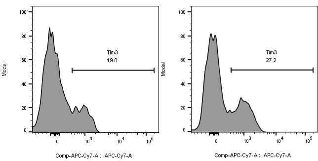 골수미세환경의 CD8+ T-cell에서 Tim-3 발현 확인