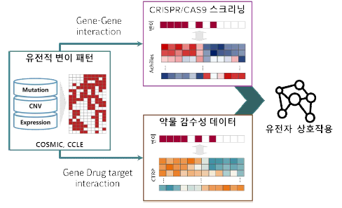 Achilles 분석을 이용한 유전자 상호작용 네트워크 도출