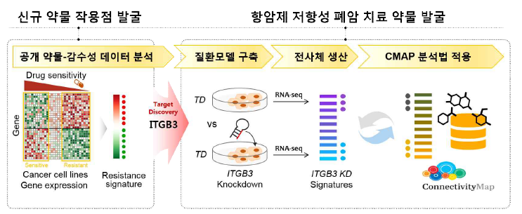 대규모 암전사체/약물-감수성 데이터 기반 항암제 저항성 폐암의 신규 약물작용점 및 치료 약물 발굴의 개요