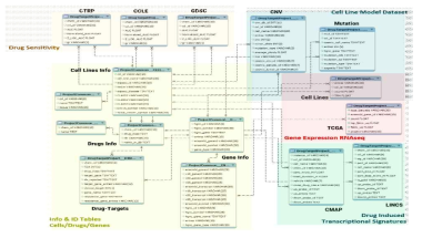 질환모델의 유전체 및 약물-전사체/ 약물-감수성 통합 DB schema