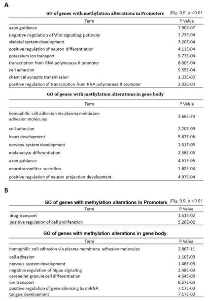 오가노이드에서 발굴된 약물 반응성과 연관성이 있는 DNA methylation 부분의 GO 분석 (A) Passage 3 오가노이드 (B) Passage 5 오가노이드