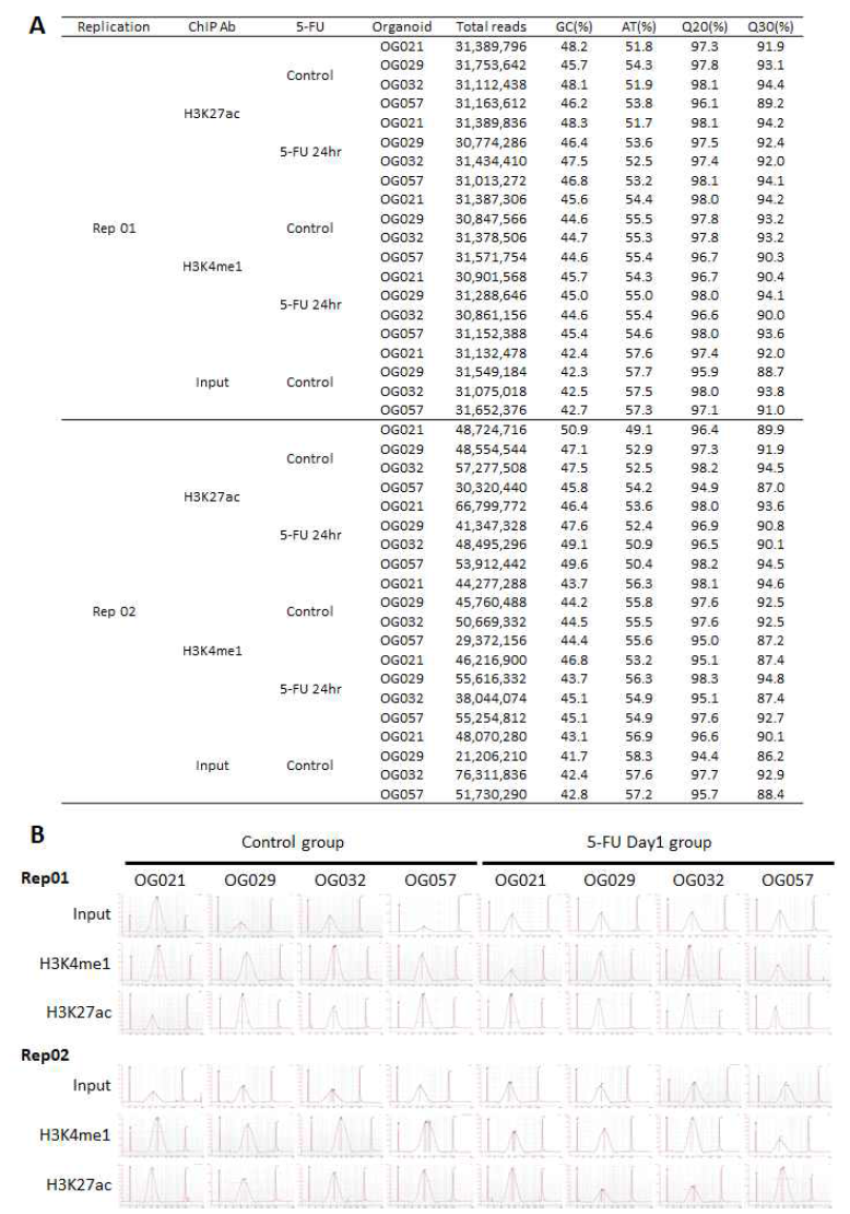 ChIP-seq library QC (A) Sequecing QC (B) library Bioanalyzer QC