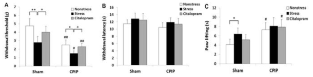 Effect of citalopram on nociceptive responses to mechanical, heat, and cold stimuli