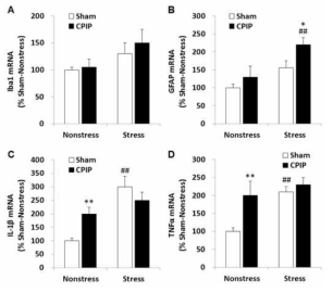 Expression of neuroinflammatory genes in the amygdala