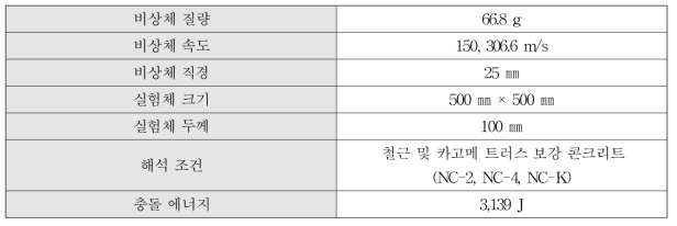 고속 비상체 충돌해석 조건