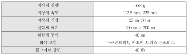 고속 비상체 충돌해석 조건