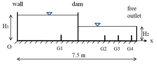 댐 개방 후 수면의 시계열 분석을 위한 실험 영역 (Do Carmo et al., 1993)