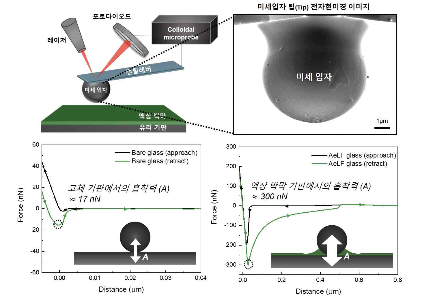 콜로이드탐침 현미경 측정 모식도(위-왼쪽)와 미세입자(실리카)의 전자현미경 이미지(위-오른쪽). 고체 기판과 액상 박막 기판에서의 흡착력 측정 결과(아래)