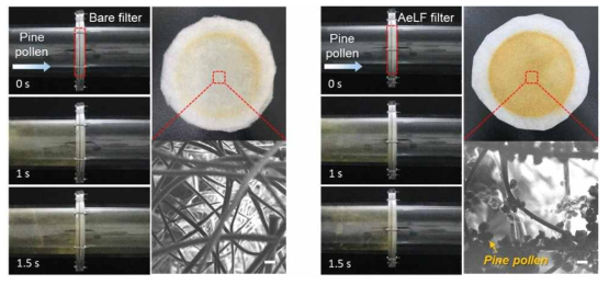 폴리에스터 프리필터(왼쪽)와 액상막을 코팅한 동일 프리필터(오른쪽)를 이용한 송화가루 집진 영상의 집진 스냅샷 사진과, 집진 후 필터 사진과 전자현미경 결과