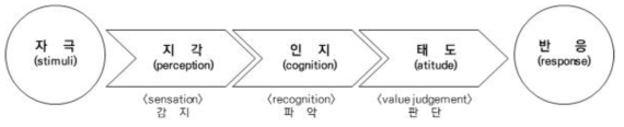 임승빈, 자극에 대한 시지각⸱인지의 과정