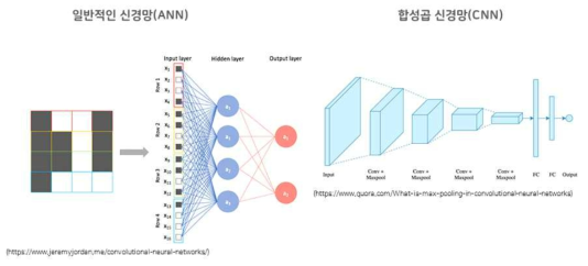 일반적인 신경망과 합성곱 신경망 구조 차이