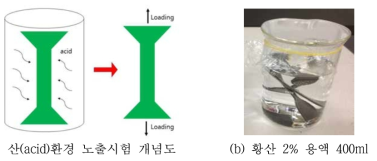 산(acid) 환경 노출 시험