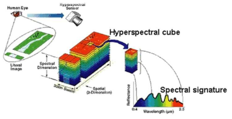 초분광 영상의 자료 구조