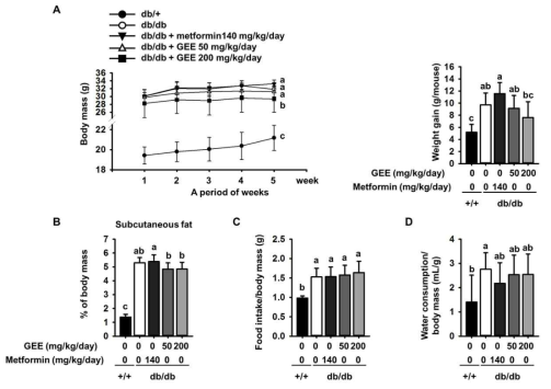 db/db 마우스에 Gelidium elegans 추출물 투여 시 몸무게 및 음수량, 식이량 변화