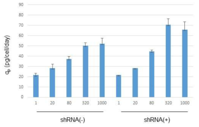 DHFR 발현 저해 HEK293F 세포에서 EBNA-1의 증폭 및 항체 생산성