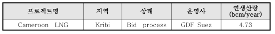 카메룬의 LNG 프로젝트 현황 (Enerdata, 2014)