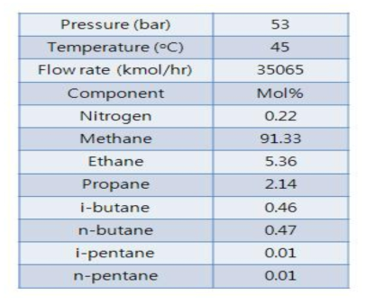 전산모사에 사용된 천연가스의 조성 및 압력조건