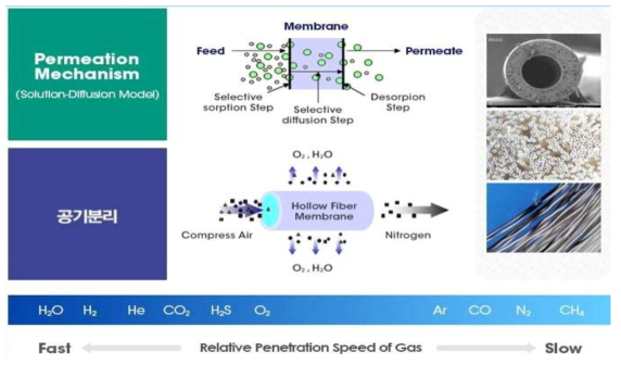 멤브레인 가스 분리 원리