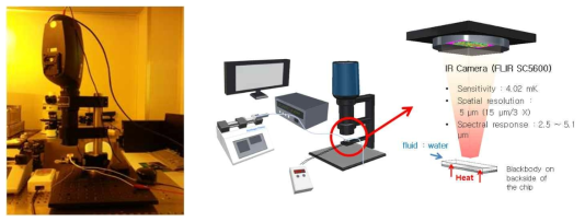 IR microscope setup and Schematic view