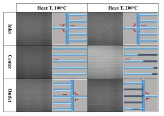 De-ionized water flowing images through straight microchannels (flow rate at inlet= 100μl/min)