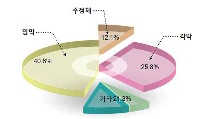 실명관련 눈 연구 분야