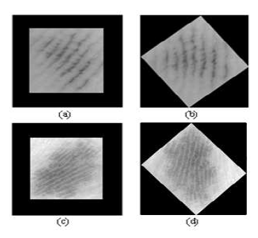 자동 회전 결과 (a) furrow 패턴 영상 (b) 자동 회전 결과 (38도) (c) ridge 패턴 영상 (d) 자동 회전 결과 (122도)
