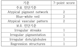 악성 흑색종 진단을 위한 7-point checklist [Malvehy07]