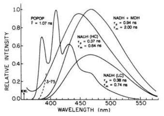 보고된 NADH의 스펙트럼 [Lakowicz, 92]
