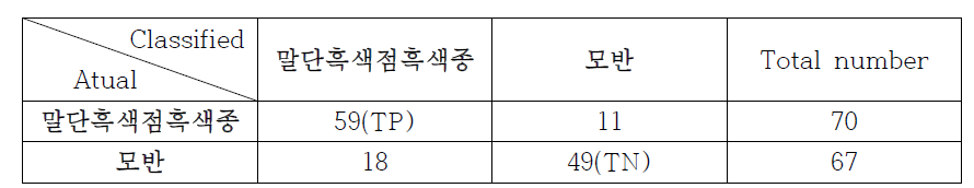 연구 결과 : Confusion matrix