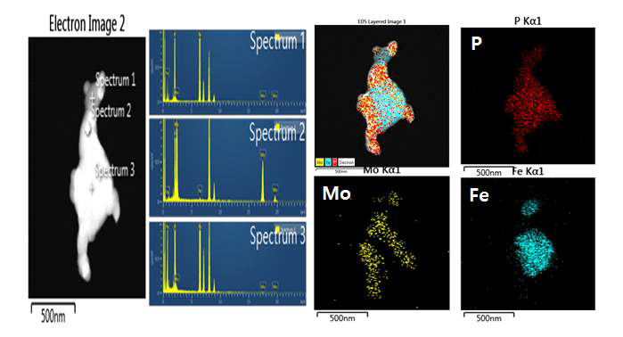 Fe-Mo-P 복합체 음극의 TEM, EDS, Mapping 결과