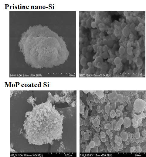 MoP coated Si의 SEM 이미지